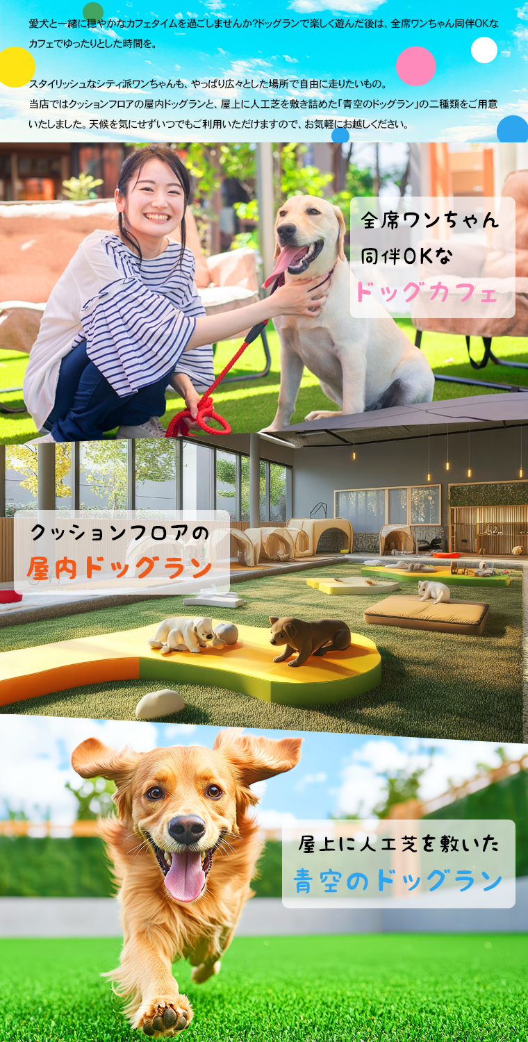 コンセプトイメージ