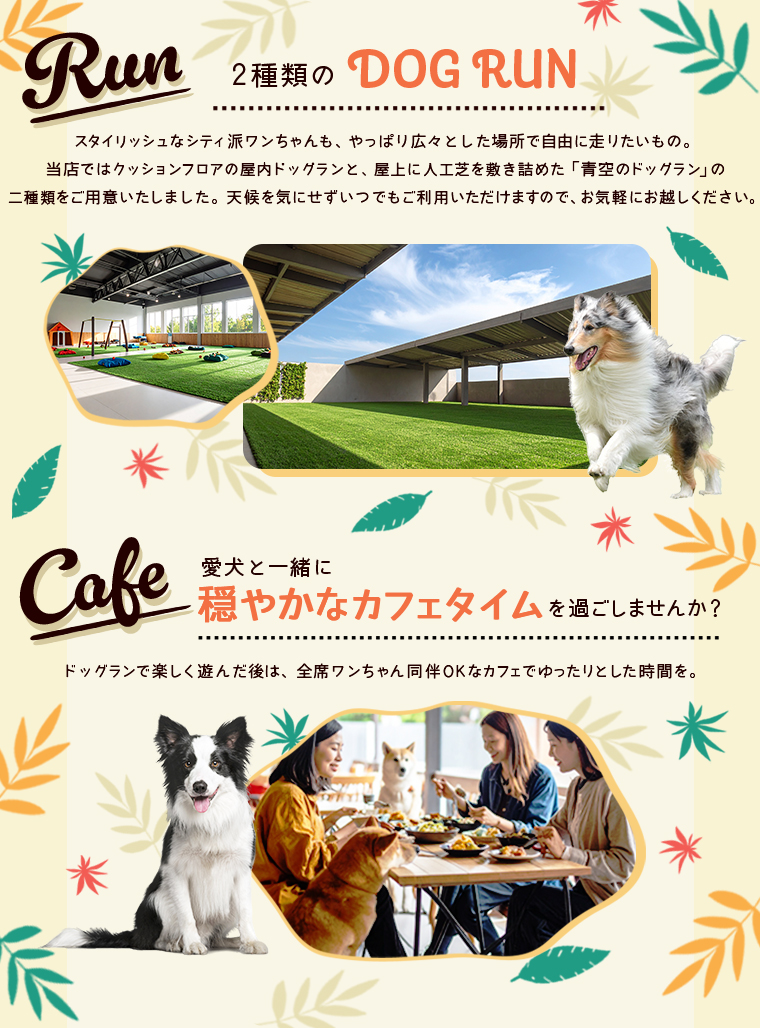 コンセプトイメージ