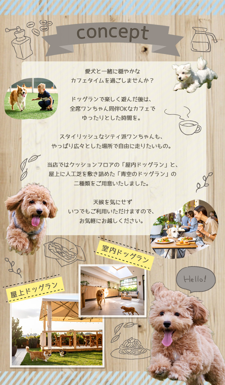 コンセプトイメージ